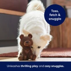 Frisco Camping Bear Plush Squeaky Dog Toy -Dog Supplies Store 270999 PT5. AC SS1800 V1691785245