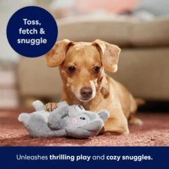 Frisco Camping Squirrel Plush Squeaky Dog Toy 12 Frisco Camping Squirrel Plush Squeaky Dog Toy -Dog Supplies Store 271001 PT5. AC SS1800 V1691785245