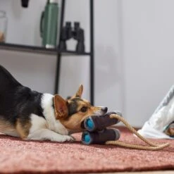 Frisco Camping Binoculars Plush With Rope Squeaky Dog Toy -Dog Supplies Store 271009 PT3. AC SS1800 V1625009167