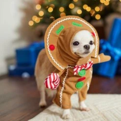 Frisco Front Walking Gingerbread Dog & Cat Costume -Dog Supplies Store 276156 PT8. AC SS1800 V1631568795