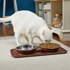 Frisco Silicone Stainless Steel Double Diner Dog & Cat Bowl, Brown -Dog Supplies Store 277551 PT3. AC SS1800 V1630348104