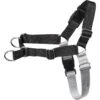 Frisco Basic No Pull Harness -Dog Supplies Store 277873 MAIN. AC SS1800 V1629758946
