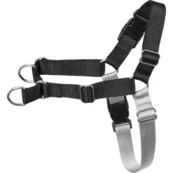 Frisco Basic No Pull Harness