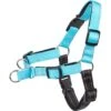 Frisco Padded Reflective No Pull Harness -Dog Supplies Store 277892 MAIN. AC SS1800 V1629765598