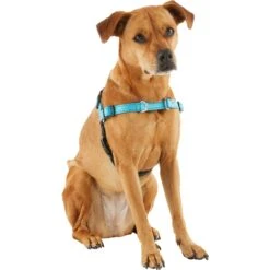 Frisco Padded Reflective No Pull Harness -Dog Supplies Store 277892 PT3. AC SS1800 V1629758833