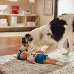 Frisco Gym Teacher Plush Squeaky Dog Toy -Dog Supplies Store 279447 PT3. AC SS1800 V1628191161