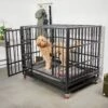 Frisco Ultimate Foldable & Stackable Heavy Duty Steel Metal Single Door Dog Crate -Dog Supplies Store 280395 MAIN. AC SS1800 V1632851201