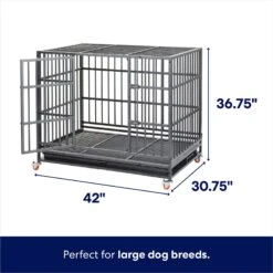 Dog Supplies Store -Dog Supplies Store 280395 PT1. AC SS1800 V1635514430