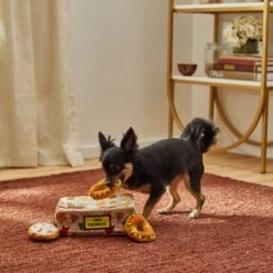 Frisco Fall Box Of Donuts Hide & Seek Puzzle Plush Squeaky Dog Toy -Dog Supplies Store 285639 PT3. AC SS1800 V1629725027