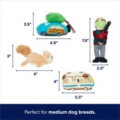 Frisco Holiday House Hide & Seek Puzzle Plush Squeaky Dog Toy -Dog Supplies Store 287083 PT2. AC SS1800 V1695046042