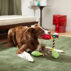 Frisco Holiday Lights Plush With Rope Squeaky Dog Toy 9 Frisco Holiday Lights Plush With Rope Squeaky Dog Toy -Dog Supplies Store 287109 PT3. AC SS1800 V1632775707