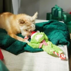 Frisco Holiday Monkey Plush With Rope Squeaky Dog Toy -Dog Supplies Store 287115 PT3. AC SS1800 V1632774182