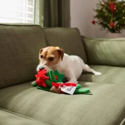 Frisco Flower Bouquet Plush Squeaky Dog Toy 9 Frisco Flower Bouquet Plush Squeaky Dog Toy -Dog Supplies Store 287163 PT3. AC SS1800 V1632776821