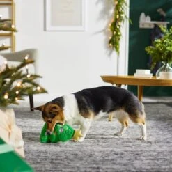 Frisco Holiday Tree Thin Plush Squeaky Dog Toy -Dog Supplies Store 287167 PT3. AC SS1800 V1632773873