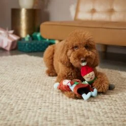 Frisco Holiday Carolers Plush Squeaky Dog Toy, 3 Count 7 Frisco Holiday Carolers Plush Squeaky Dog Toy, 3 Count -Dog Supplies Store 287169 PT3. AC SS1800 V1632774907