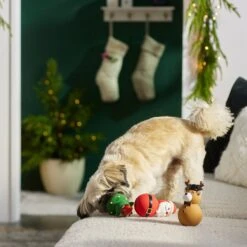 Frisco Holiday Santa & Friends Latex Squeaky Dog Toy -Dog Supplies Store 287181 PT3. AC SS1800 V1632775363