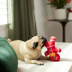 Frisco Holiday Naughty Or Nice Gingerbread Man Reversible Plush Squeaky Dog Toy -Dog Supplies Store 287217 PT3. AC SS1800 V1632775304