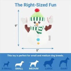 Frisco Holiday Naughty Or Nice Snowman Reversible Plush Squeaky Dog Toy -Dog Supplies Store 287219 PT2. AC SS1800 V1637704003