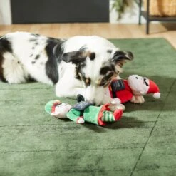 Frisco Holiday Bad Santa & Elf Plush Squeaky Dog Toy -Dog Supplies Store 287223 PT3. AC SS1800 V1632773570