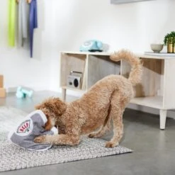 Frisco Scale Plush Squeaky Dog Toy -Dog Supplies Store 288911 PT3. AC SS1800 V1638289585