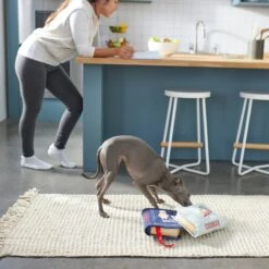 Frisco Cookbooks Plush Squeaky Dog Toy, 2 Count -Dog Supplies Store 288937 PT3. AC SS1800 V1638287852