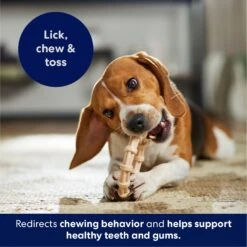 Frisco Ring Tough Nylon Chew Dog Toy, Chicken Flavor 12 Frisco Ring Tough Nylon Chew Dog Toy, Chicken Flavor -Dog Supplies Store 290533 PT4. AC SS1800 V1695760990