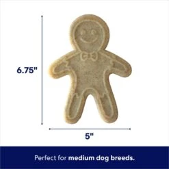 Frisco Nylon Gingerbread Dog Chew Toy, Beef Flavor, Medium -Dog Supplies Store 291385 PT1. AC SS1800 V1694812785