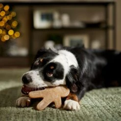 Frisco Nylon Gingerbread Dog Chew Toy, Beef Flavor, Medium -Dog Supplies Store 291385 PT3. AC SS1800 V1668108316