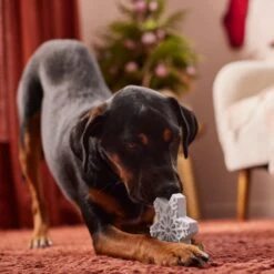 Frisco Holiday Nylon Snowflake Dog Chew Toy, Peanut Butter Flavor, Medium -Dog Supplies Store 291387 PT3. AC SS1800 V1629306692