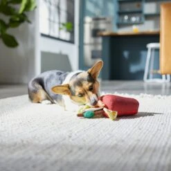 Frisco Brunch Bloody Mary Plush Squeaky Dog Toy -Dog Supplies Store 297228 PT2. AC SS1800 V1642088343