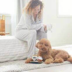 Frisco Brunch Teacup Plush Squeaky Dog Toy 7 Frisco Brunch Teacup Plush Squeaky Dog Toy -Dog Supplies Store 297232 PT3. AC SS1800 V1642087957