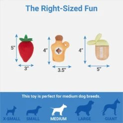 Frisco Brunch Pancake Hide & Seek Puzzle Plush Squeaky Dog Toy -Dog Supplies Store 297266 PT2. AC SS1800 V1643916712