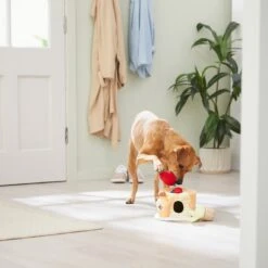 Frisco Brunch Pancake Hide & Seek Puzzle Plush Squeaky Dog Toy -Dog Supplies Store 297266 PT3. AC SS1800 V1642087986