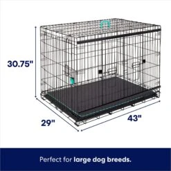 Dog Supplies Store -Dog Supplies Store 297461 PT1. AC SS1800 V1633625193