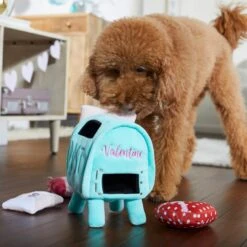 Frisco Valentine Love Letters Hide & Seek Puzzle Plush Squeaky Dog Toy -Dog Supplies Store 298929 PT3. AC SS1800 V1638987486