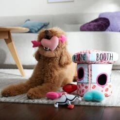 Frisco Valentine Kissing Booth Hide & Seek Puzzle Plush Squeaky Dog Toy -Dog Supplies Store 298943 PT3. AC SS1800 V1638987417
