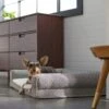 Frisco Boho Modern Couch Dog & Cat Bed 1 Frisco Boho Modern Couch Dog & Cat Bed -Dog Supplies Store 299392 MAIN. AC SS1800 V1638288742