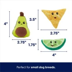 Frisco Guacamole Hide & Seek Puzzle Plush Squeaky Dog Toy & Frisco Guacamole Hide & Seek Puzzle Plush Squeaky Dog Toy Refills -Dog Supplies Store 302478 PT3. AC SS1800 V1693327405