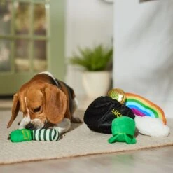 Frisco St. Patrick's Pot Of Gold Hide & Seek Puzzle Plush Squeaky Dog Toy -Dog Supplies Store 303130 PT4. AC SS1800 V1700163009