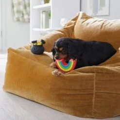 Frisco St. Patrick's Rainbow And Pot Of Gold Latex Squeaky Dog Toy -Dog Supplies Store 303136 PT4. AC SS1800 V1702500566