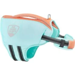 Frisco Active Dog Life Jacket & Frisco Foam Rubber Floating Fetch Ball No Squeak Dog Toy -Dog Supplies Store 303364 PT2. AC SS1800 V1623163059