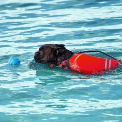 Frisco Active Dog Life Jacket & Frisco Foam Rubber Floating Fetch Ball No Squeak Dog Toy -Dog Supplies Store 303364 PT8. AC SS1800 V1623163654