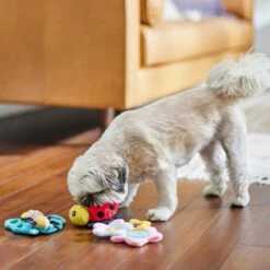 Frisco Spring Pack Plush Squeaky Dog Toy -Dog Supplies Store 304950 PT4. AC SS1800 V1703184715