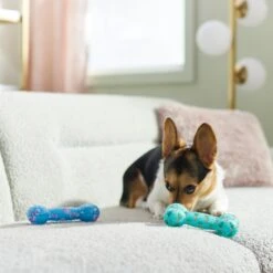 Frisco Easter TPR Bone Squeaky Dog Toy, Medium/Large, 2 Count 10 Frisco Easter TPR Bone Squeaky Dog Toy, Medium/Large, 2 Count -Dog Supplies Store 304966 PT4. AC SS1800 V1670608502