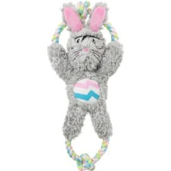 Frisco Easter Bunny Plush With Rope Squeaky Dog Toy