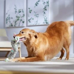 Frisco Easter Bunny Plush With Rope Squeaky Dog Toy 10 Frisco Easter Bunny Plush With Rope Squeaky Dog Toy -Dog Supplies Store 304974 PT4. AC SS1800 V1702500566