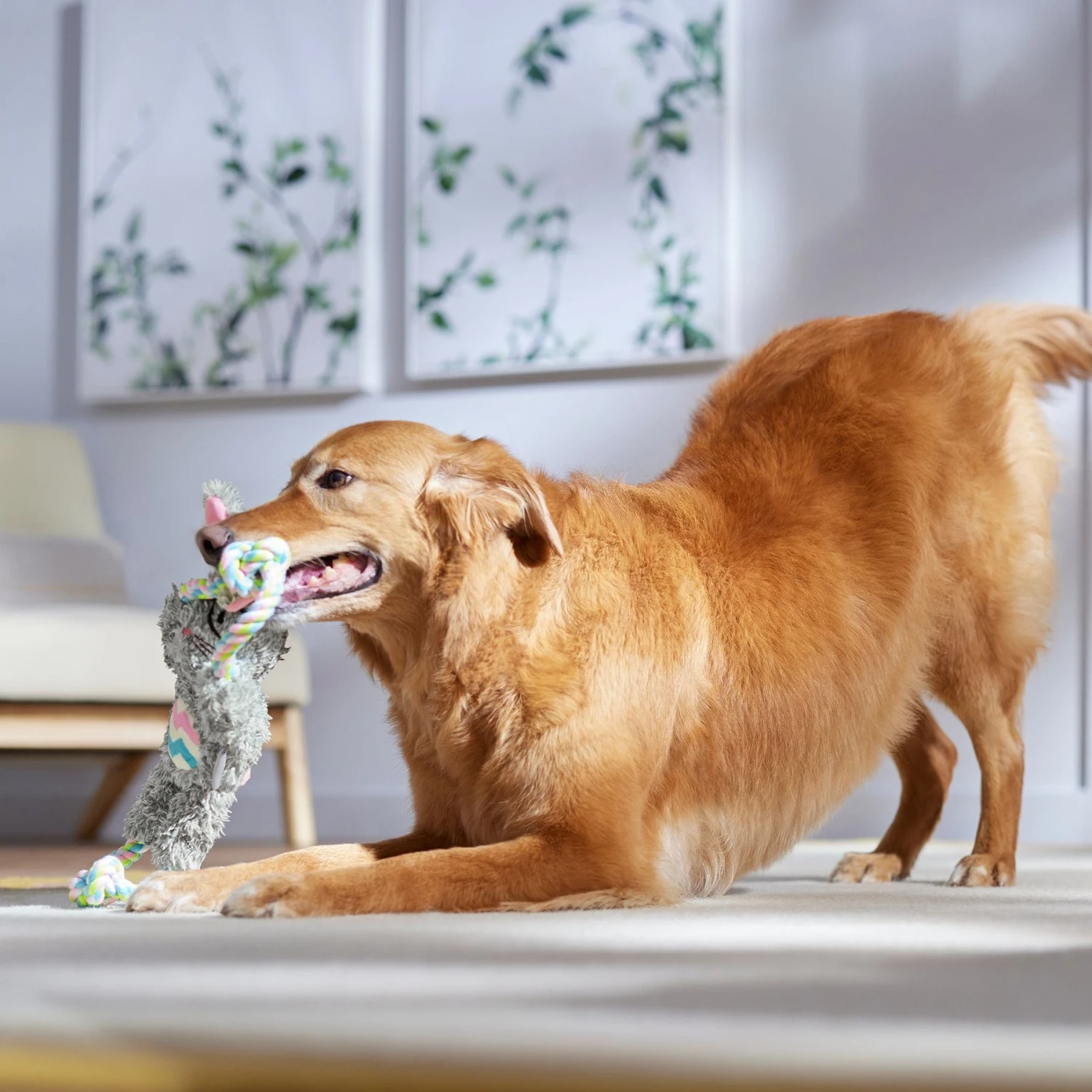 Frisco Easter Bunny Plush With Rope Squeaky Dog Toy 6 Frisco Easter Bunny Plush With Rope Squeaky Dog Toy - Image 4