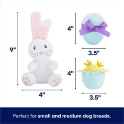 Frisco Easter Basket Hide & Seek Puzzle Plush Squeaky Dog Toy 10 Frisco Easter Basket Hide & Seek Puzzle Plush Squeaky Dog Toy -Dog Supplies Store 304982 PT2. AC SS1800 V1702665735