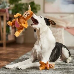 Frisco Valentine Kangaroo & Joey Plush Squeaky Dog Toy -Dog Supplies Store 312899 PT3. AC SS1800 V1701364918