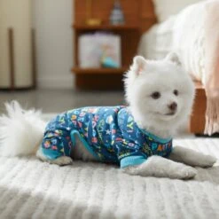 Frisco Celebration Dog & Cat PJs -Dog Supplies Store 315105 PT8. AC SS1800 V1646437758